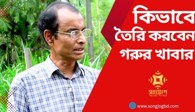 গরুর খাবার তৈরির অজানা কৌশল