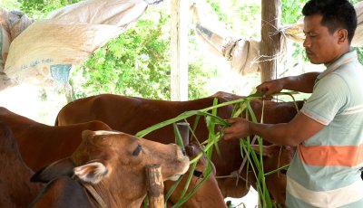 যেভাবে বদলে গেল শিশিরের ভাগ্য
