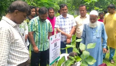 শহীদদের স্মরণে বৃক্ষরোপণ