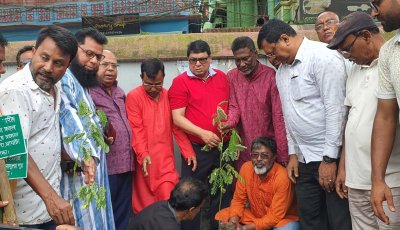বিএনপি পরিবারের বৃক্ষরোপন 