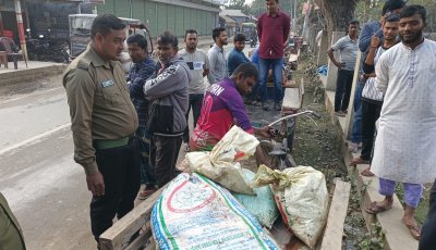 মাছ ভাগাভাগি করে নিলেন কর্মকর্তারা