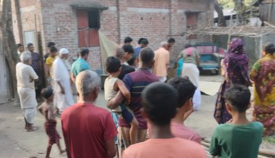 পলাশবাড়ীতে পুকুরে পানি দিতে গিয়ে বিদ্যুৎস্পৃষ্টে কৃষকের মৃত্যু 