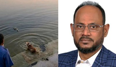 কুকুর-কুমির ঘটনা তদন্তের মাধ্যমে দোষীদের শাস্তির নির্দেশ প্রাণিসম্পদ প্রতিমন্ত্রীর