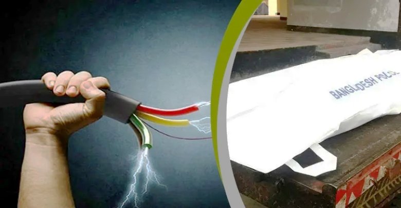 পলাশবাড়ীতে বিদ্যুৎস্পৃষ্টে প্রাণ গেল কৃষকের