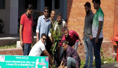 প্রতিষ্ঠাবার্ষিকী উপলক্ষে গাইবান্ধায় পৌর যুবদলের বৃক্ষরোপন কর্মসূচি